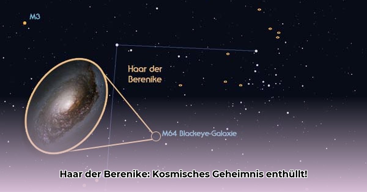haar-der-berenike